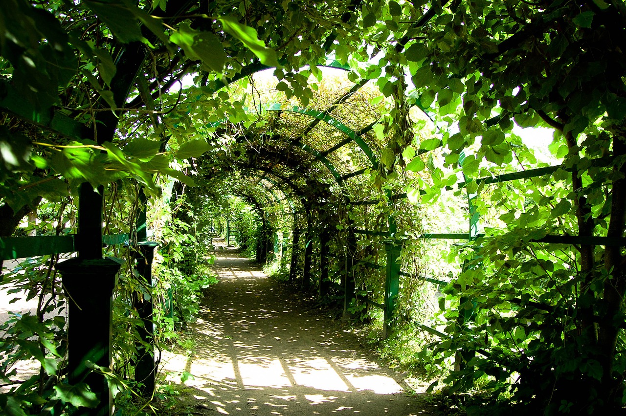 Pergolas bioclimatique à Meudon 92